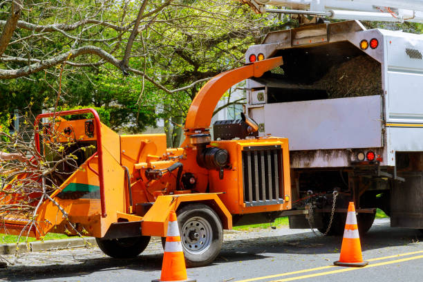 Residential Tree Removal in Landmark, AR